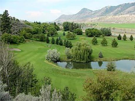 9 Hole Golf - 15 Game Pass Card from Pineridge Golf on KamloopsBids